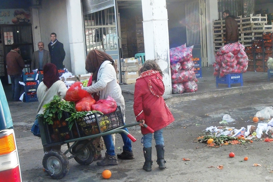 Sebze halinde çürümüş meyveleri toplayan Suriyeli çocukların dramı